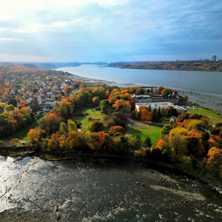 Aerial view of a riverside neighbourhood and wooded park, with bridges in the distance.