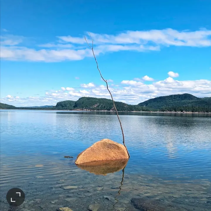 A slender branch stands beside a partly submerged boulder in a calm lake bordered by wooded hills.